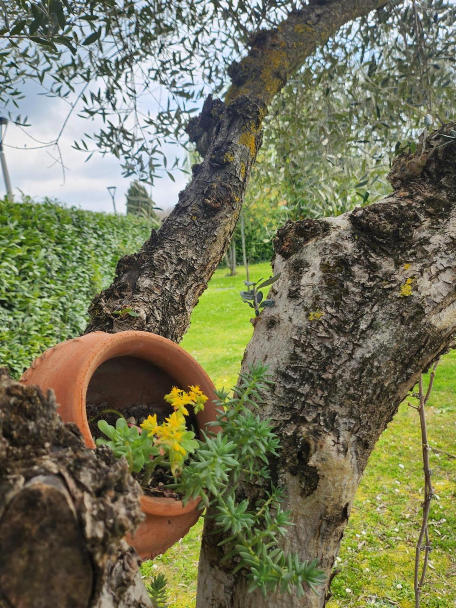 B&B Villa Sabrina Arezzo Extérieur photo