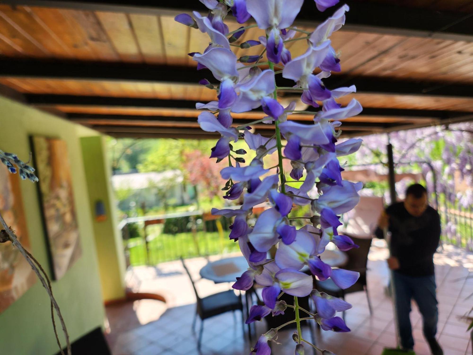 B&B Villa Sabrina Arezzo Extérieur photo